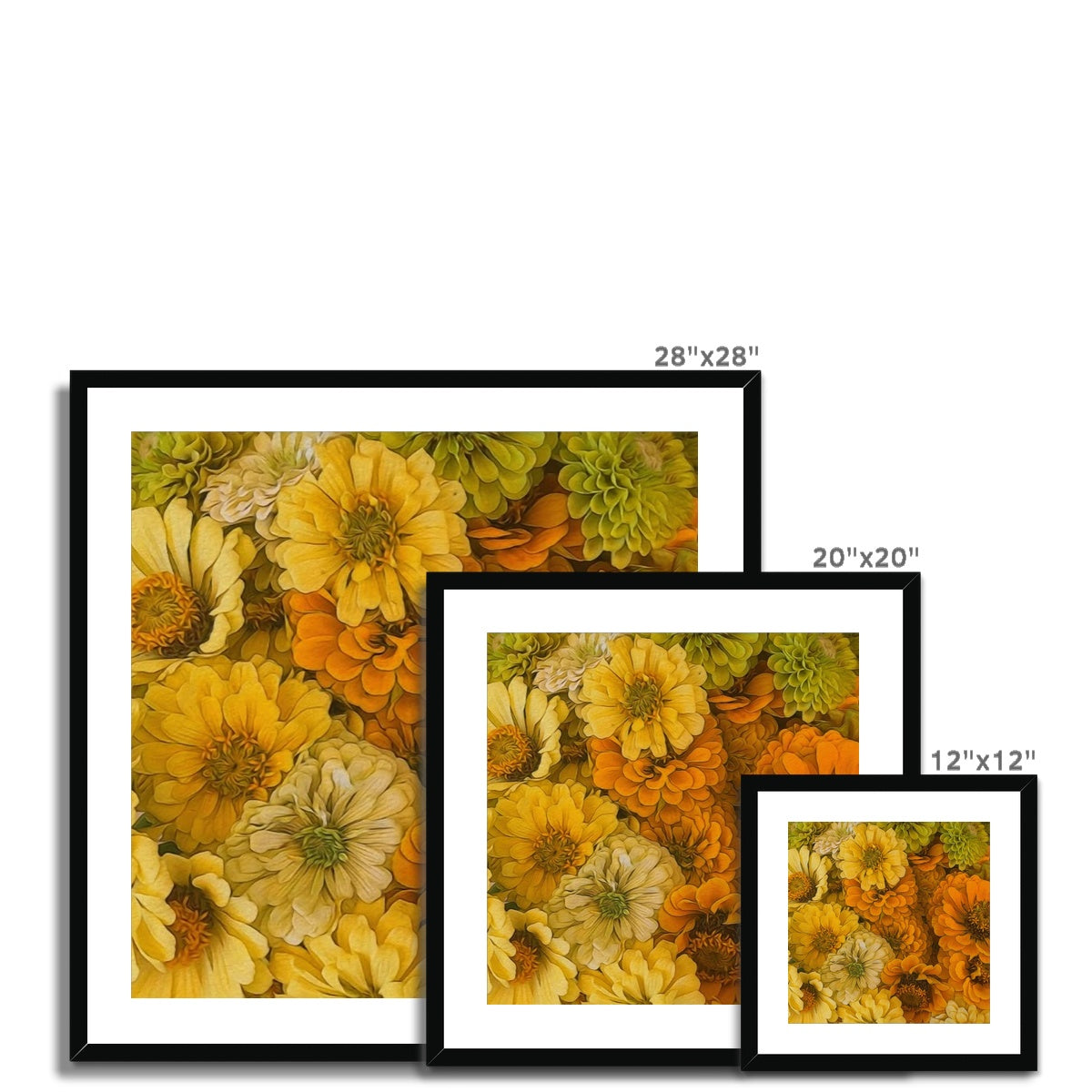 Yellow Zinnias Framed & Mounted Print