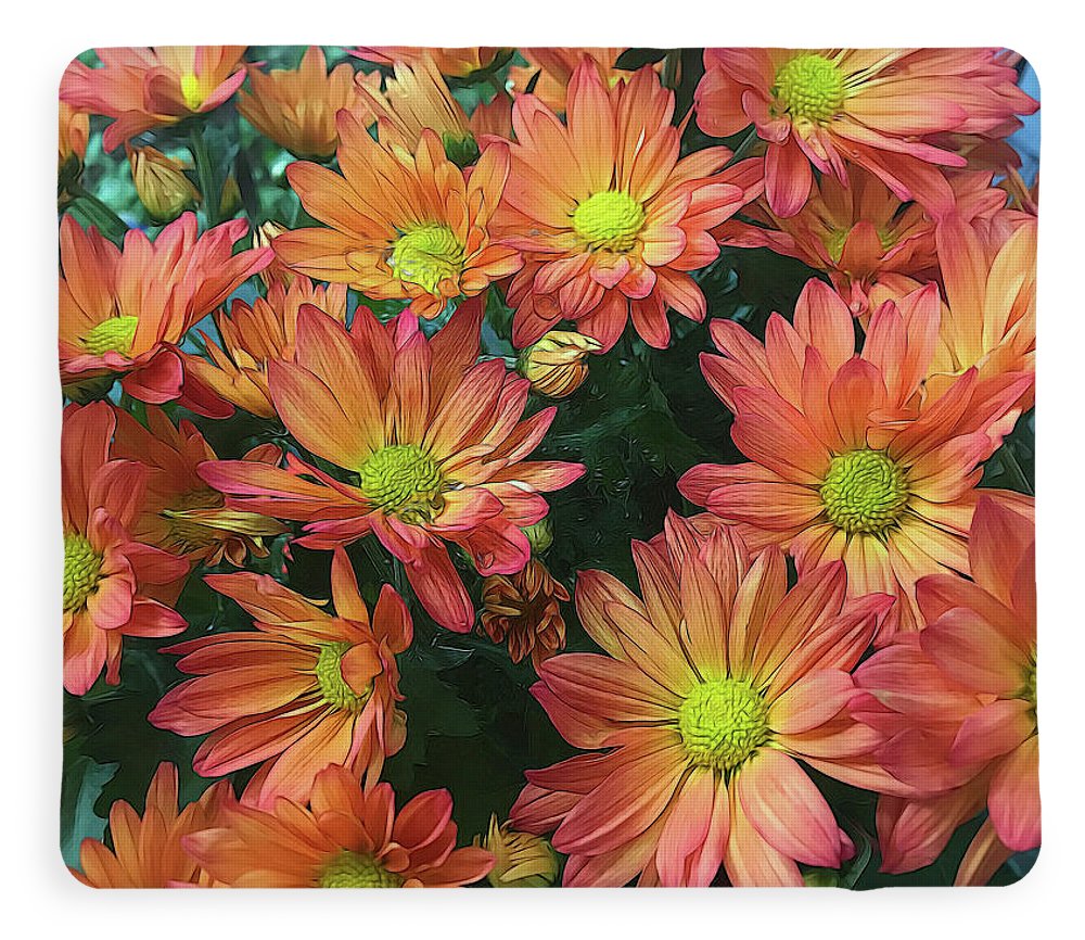 Cream and Pink Fall Flowers - Blanket