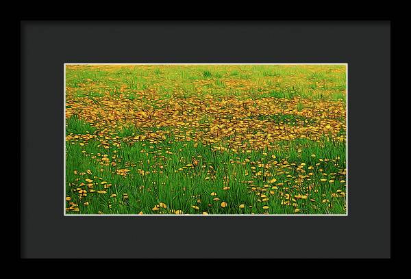 Dandelion Field - Framed Print