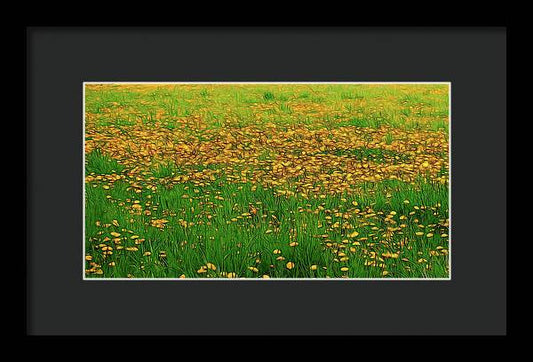 Dandelion Field - Framed Print