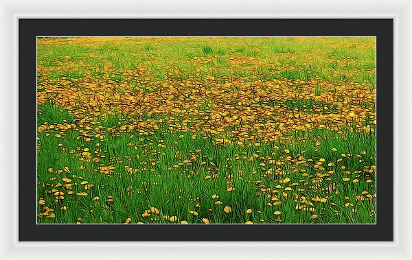 Dandelion Field - Framed Print