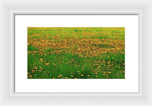 Dandelion Field - Framed Print
