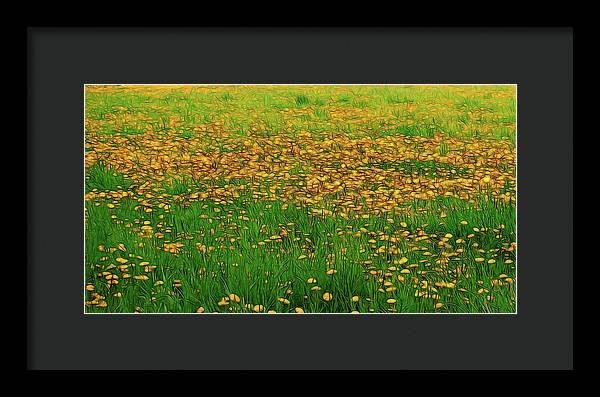 Dandelion Field - Framed Print