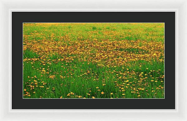 Dandelion Field - Framed Print