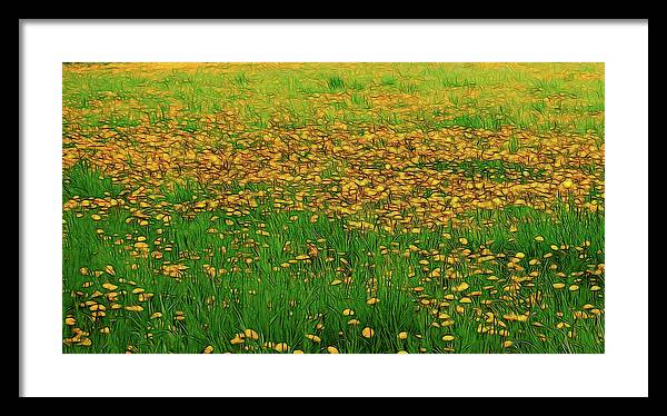Dandelion Field - Framed Print