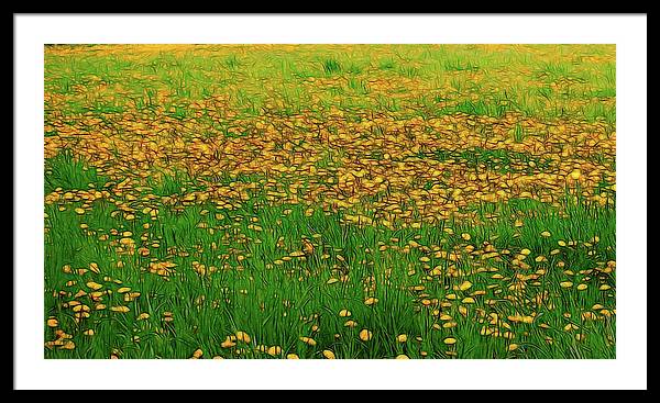 Dandelion Field - Framed Print