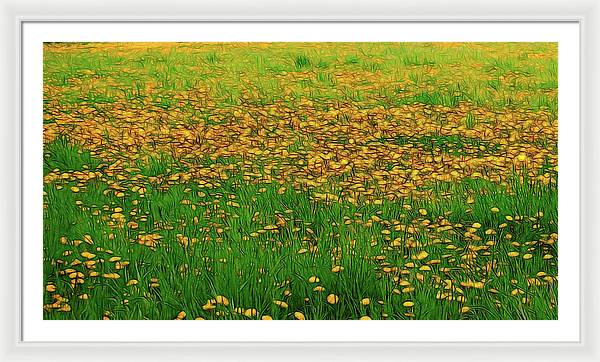 Dandelion Field - Framed Print