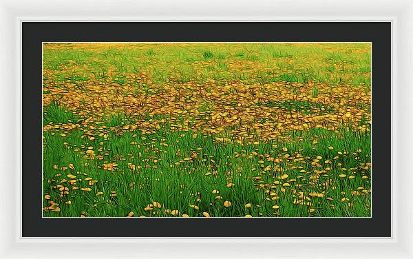 Dandelion Field - Framed Print