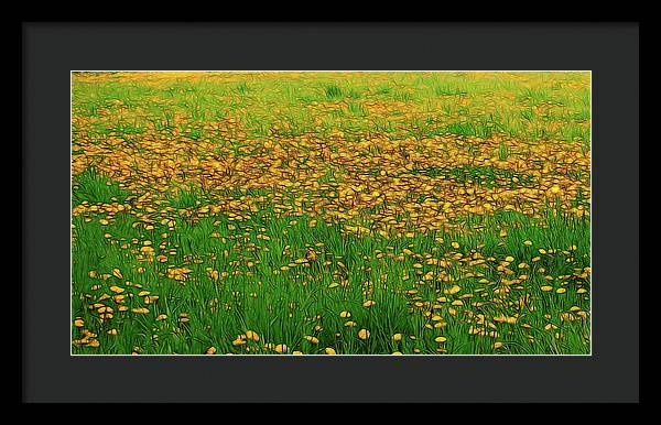Dandelion Field - Framed Print