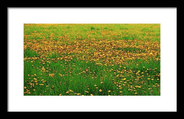 Dandelion Field - Framed Print