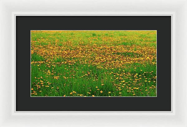 Dandelion Field - Framed Print