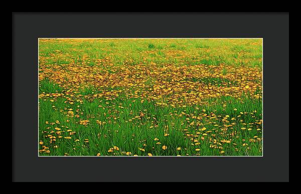 Dandelion Field - Framed Print