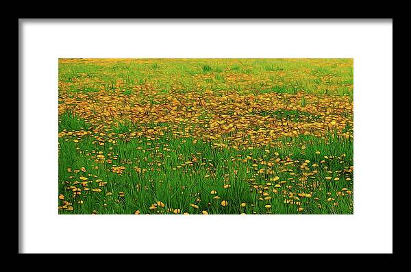 Dandelion Field - Framed Print