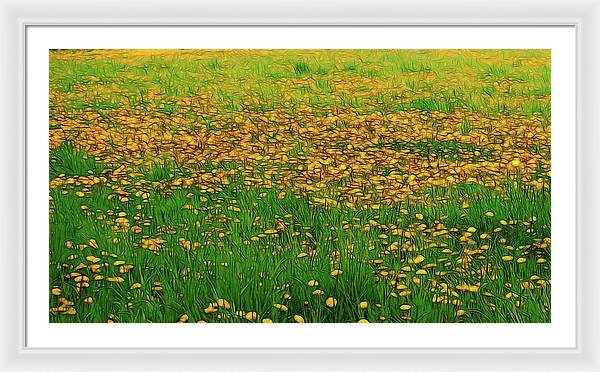 Dandelion Field - Framed Print