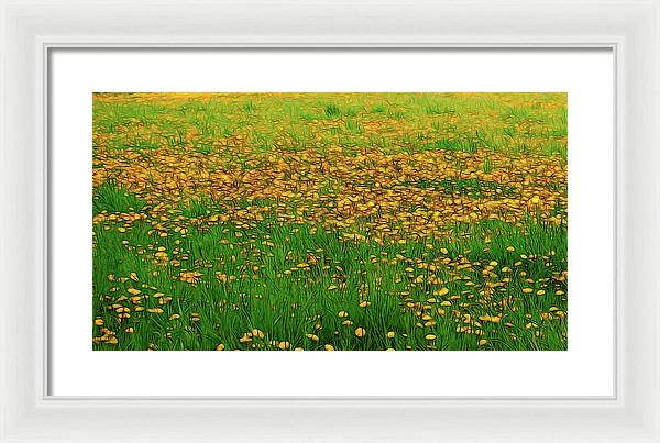 Dandelion Field - Framed Print