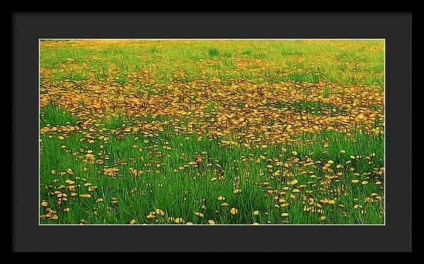 Dandelion Field - Framed Print