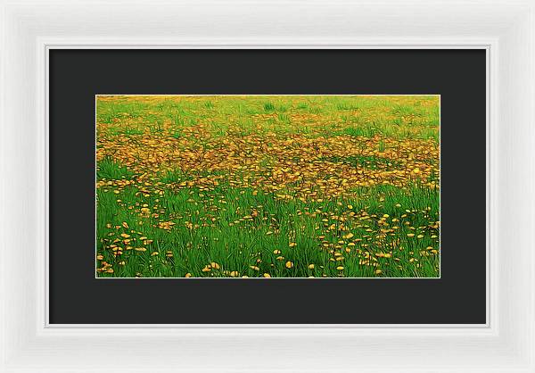 Dandelion Field - Framed Print