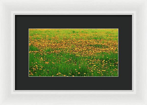 Dandelion Field - Framed Print