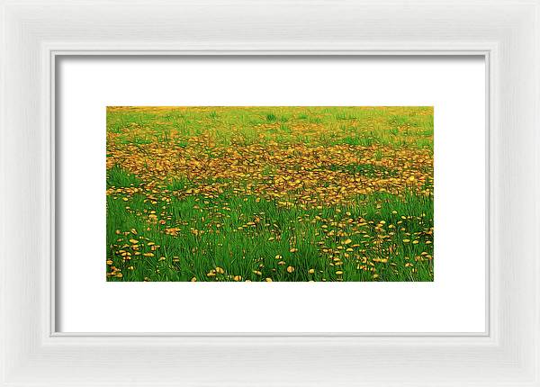 Dandelion Field - Framed Print