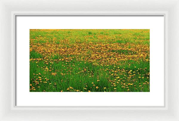 Dandelion Field - Framed Print