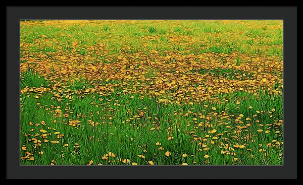 Dandelion Field - Framed Print