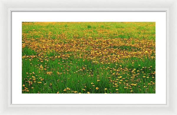 Dandelion Field - Framed Print