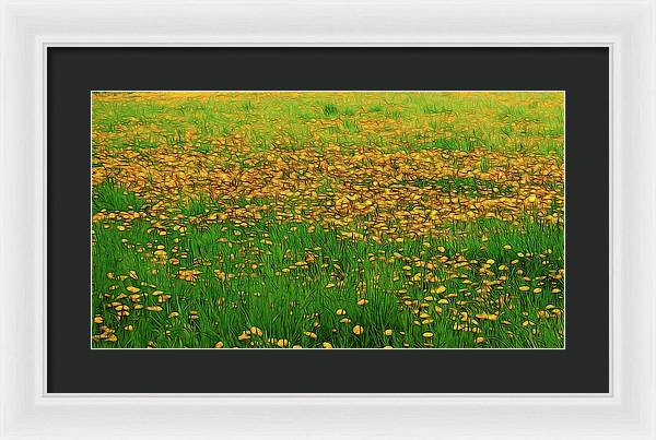 Dandelion Field - Framed Print