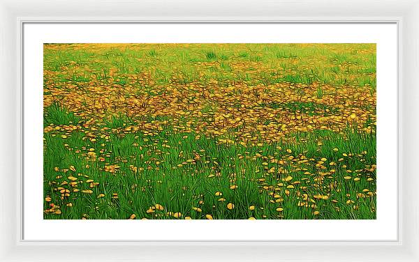 Dandelion Field - Framed Print