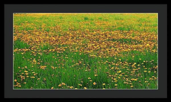 Dandelion Field - Framed Print