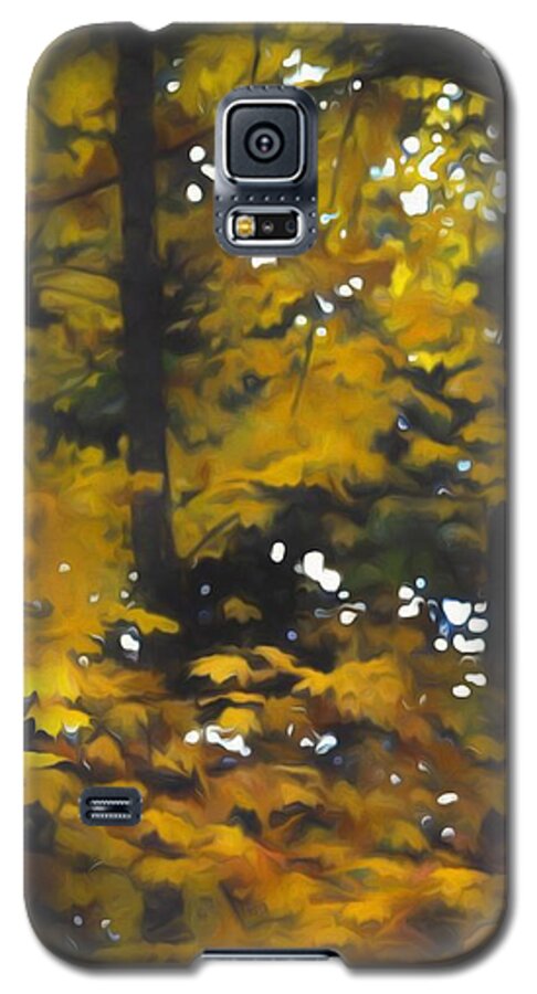 Fall Yellow Trees #1 - Phone Case