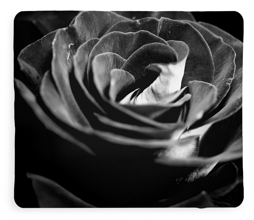 Large Black and White Rose - Blanket