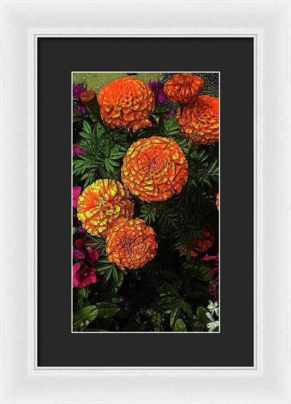 Large Marigolds - Framed Print