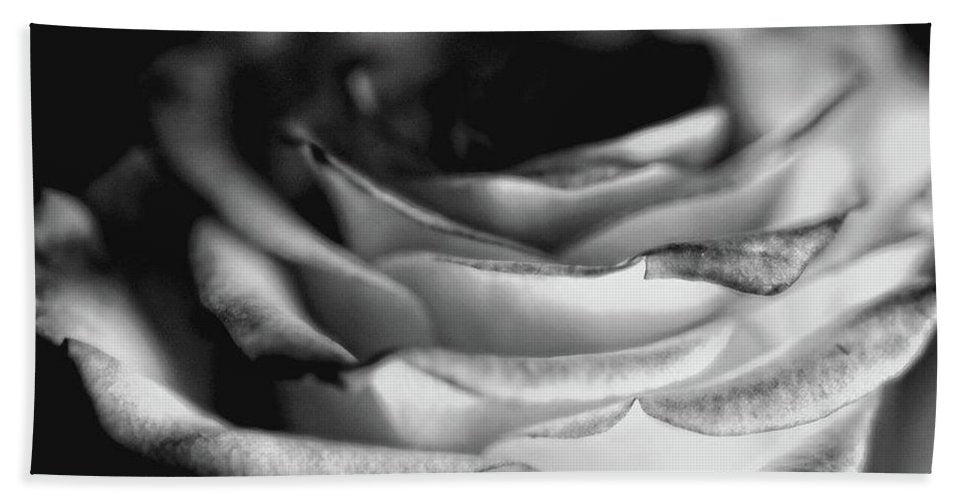 Light Black and White Rose - Beach Towel