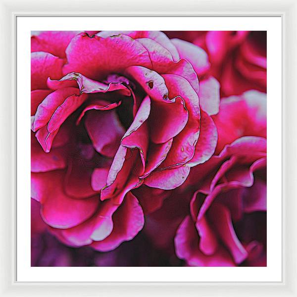 Pink and White Flowers - Framed Print