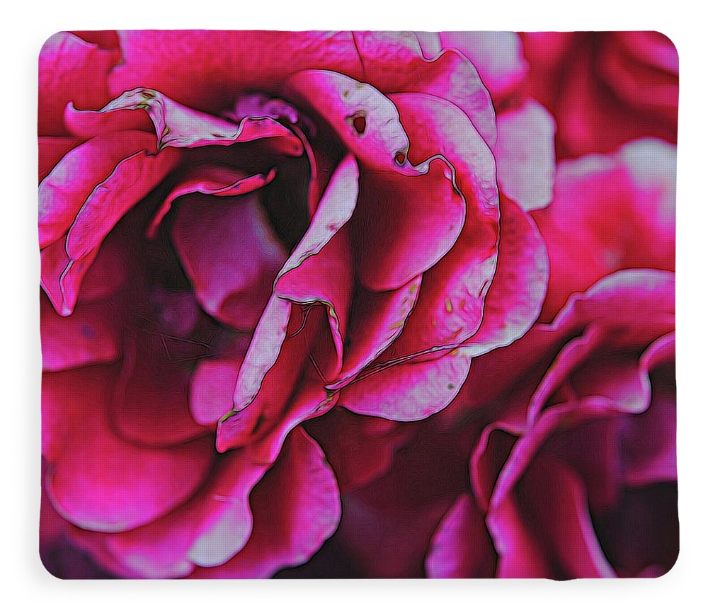 Pink and White Flowers - Blanket