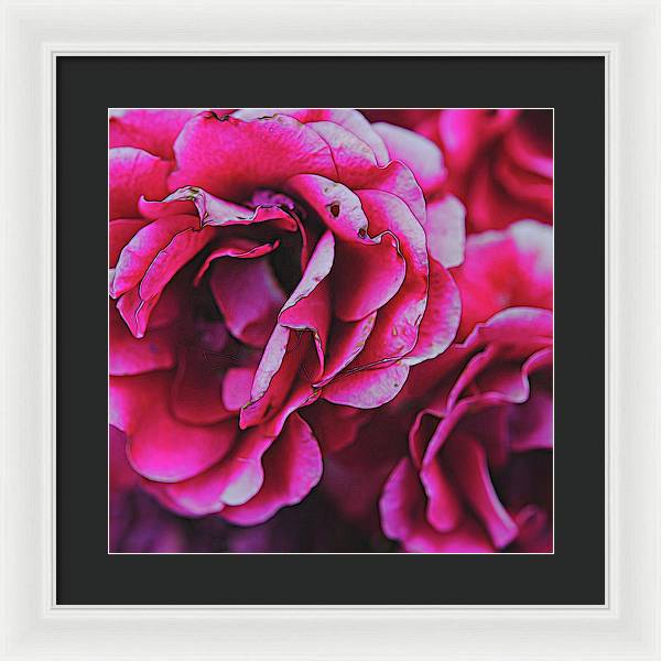 Pink and White Flowers - Framed Print