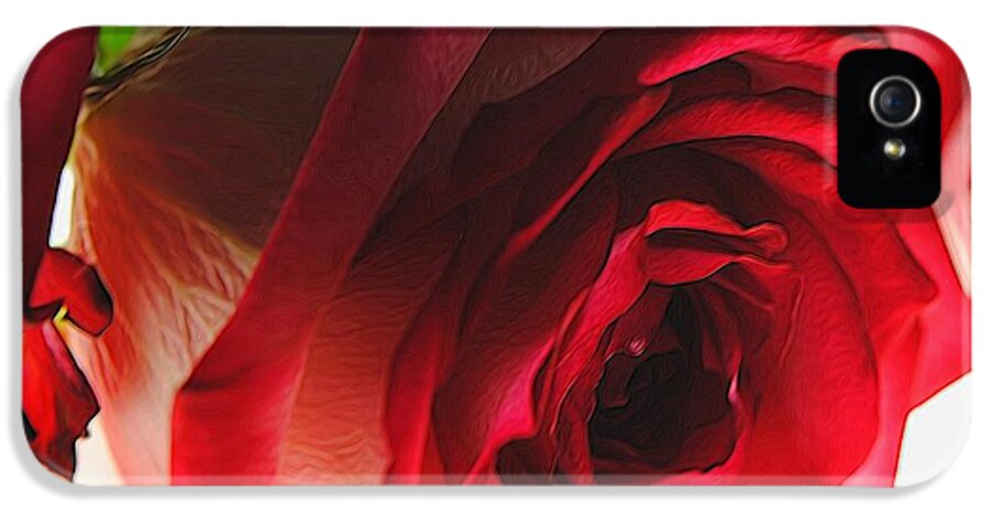 Pink Lined White Rose #1 - Phone Case