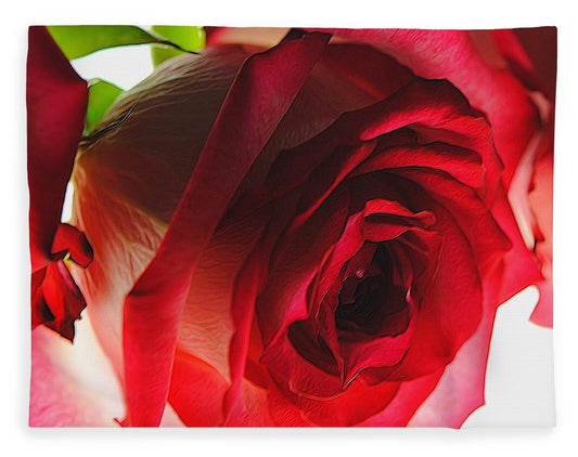 Pink Lined White Rose - Blanket