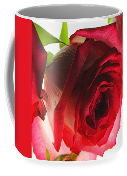 Pink Lined White Rose - Mug