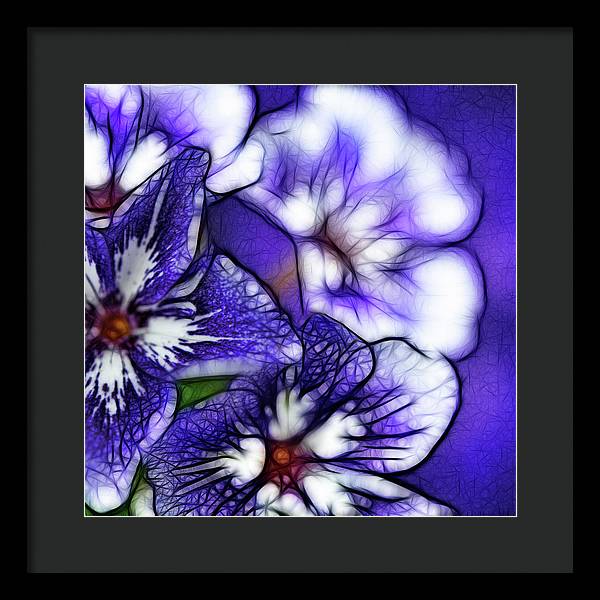Purple and White Flowers - Framed Print