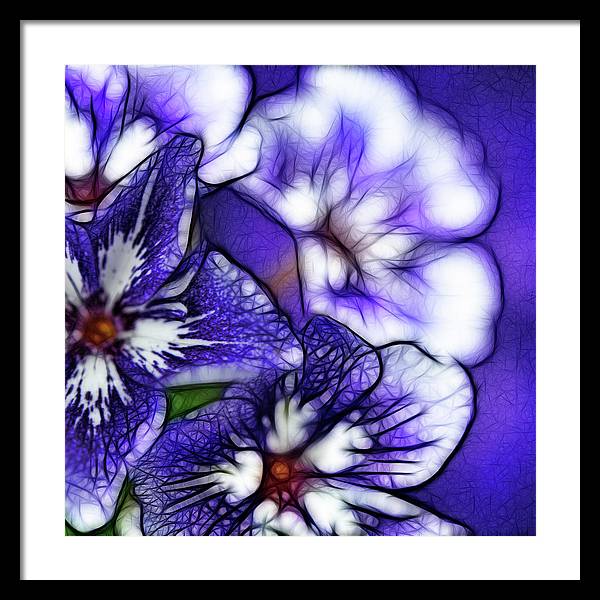 Purple and White Flowers - Framed Print
