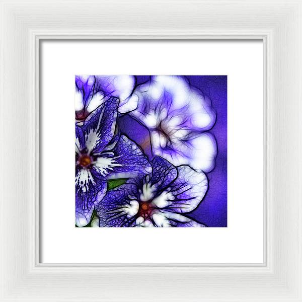 Purple and White Flowers - Framed Print