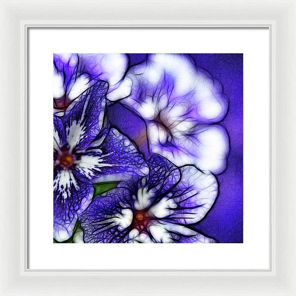 Purple and White Flowers - Framed Print