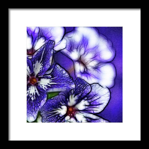 Purple and White Flowers - Framed Print