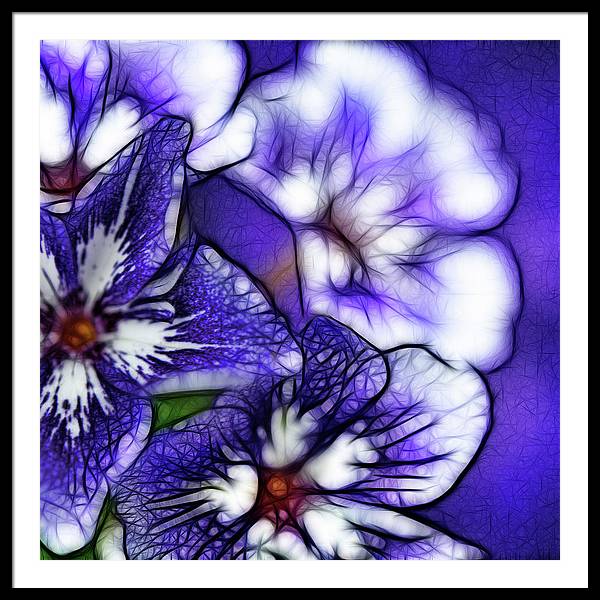 Purple and White Flowers - Framed Print