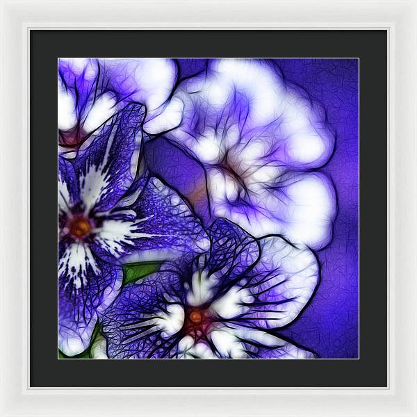 Purple and White Flowers - Framed Print