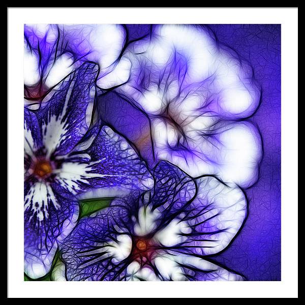 Purple and White Flowers - Framed Print