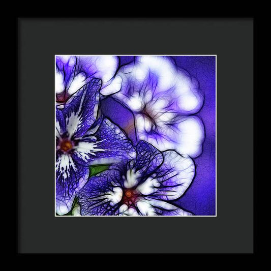 Purple and White Flowers - Framed Print
