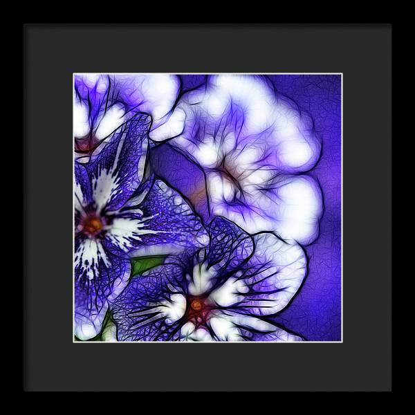 Purple and White Flowers - Framed Print