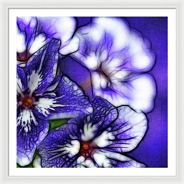 Purple and White Flowers - Framed Print